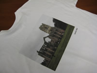 Digitally Printed Short Sleeve Tee - Direct to Garment Printing from Sunshine Designs